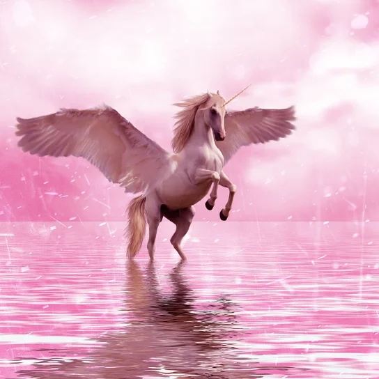 Unicorn standing on the water surface